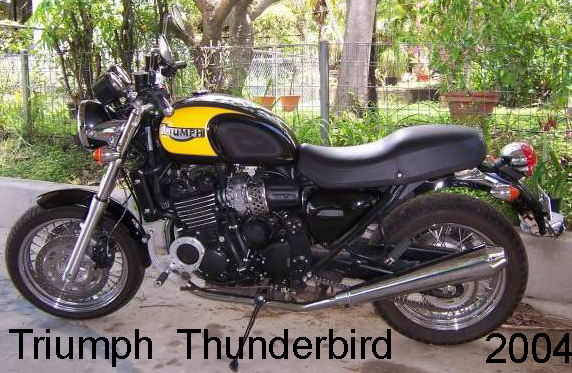 2004 Triumph Thunderbird